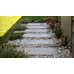 Travertine Paver Latte Tumbled 610x406x30mm